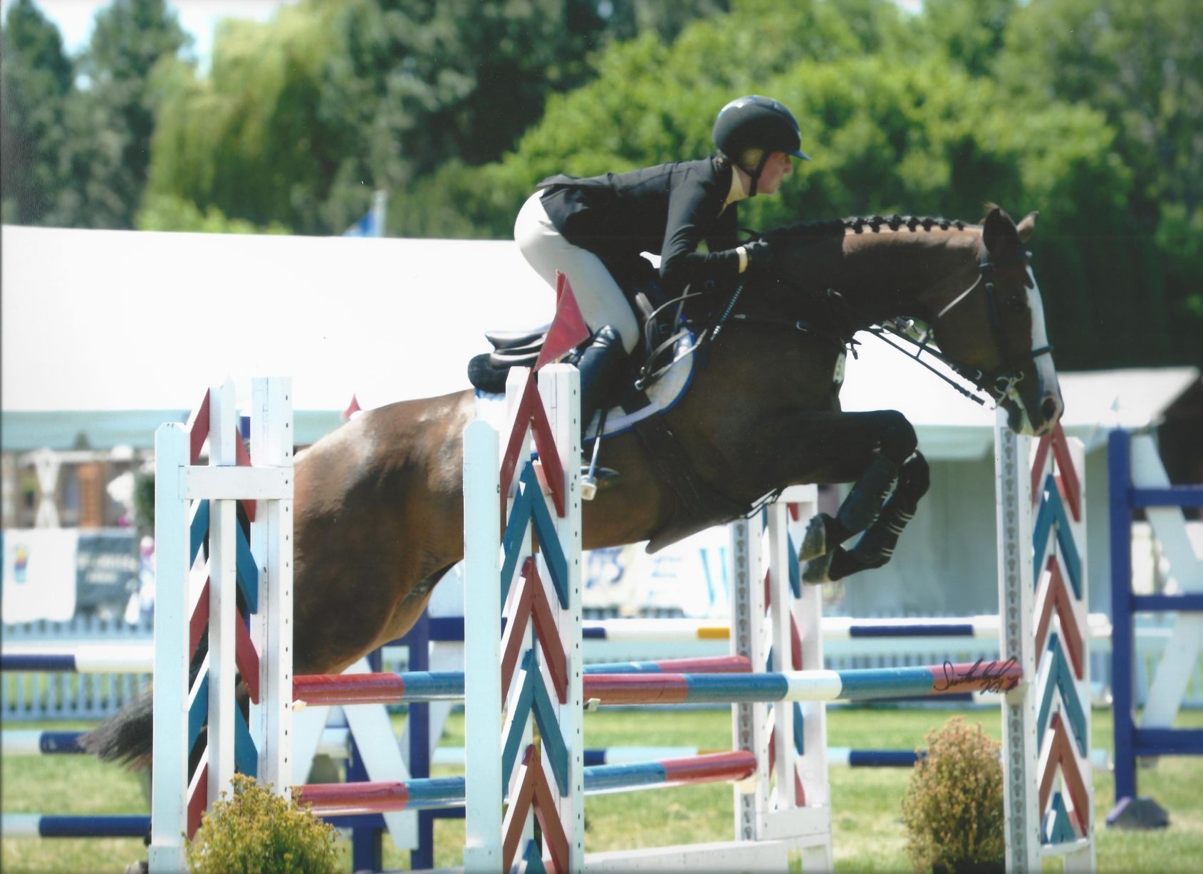 200701.Horse.Column.CK.2..jpg